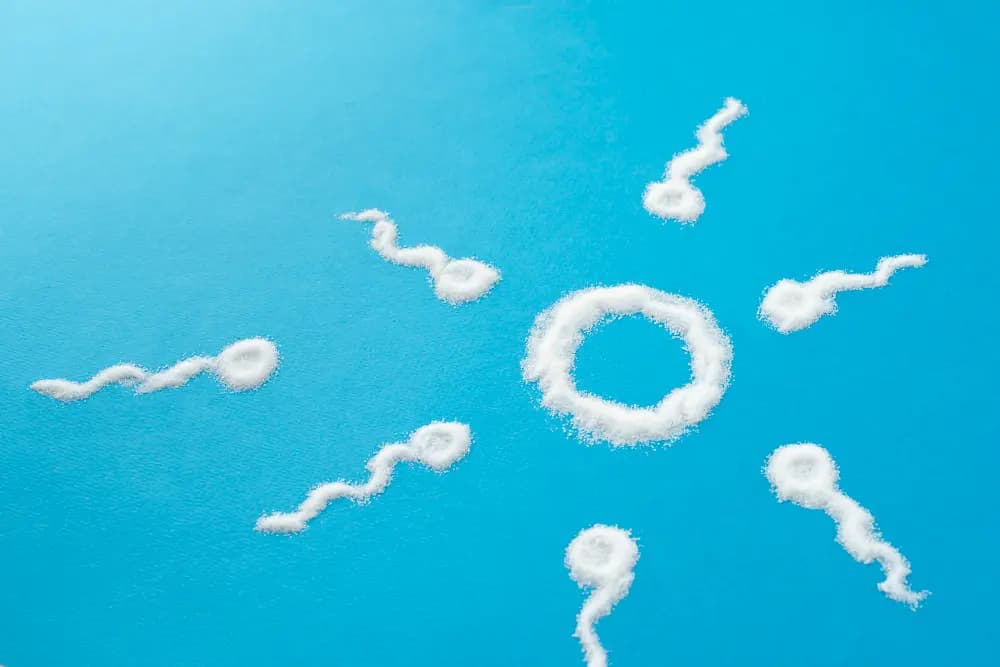 Azoospermia (Zero Sperm)